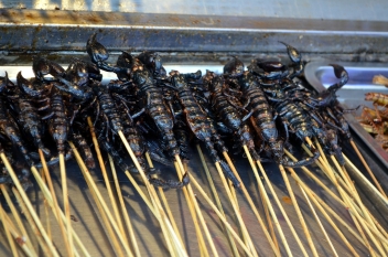 Szaszłyk z robaków na targu w Tajlandii.